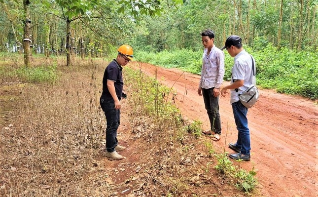 đốt chân bé trai 8 tuổi  ảnh 1 dot chan be trai 8 tuoi anh 1