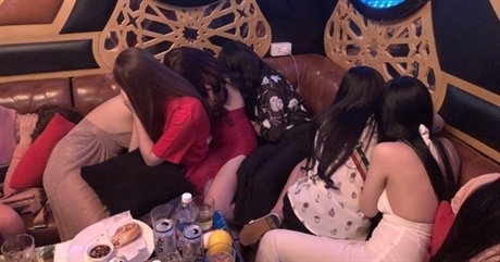 Tinh vi mai dam tra hinh hinh anh