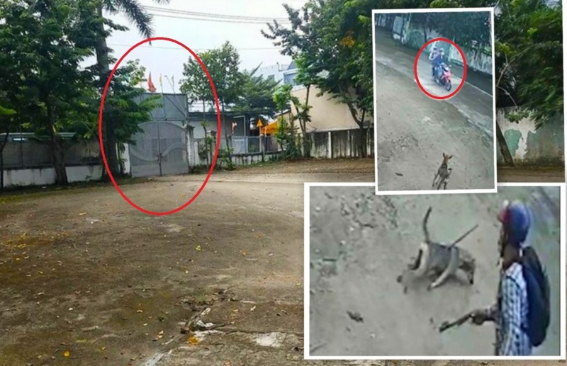 duong day ban le ma tuy anh 1