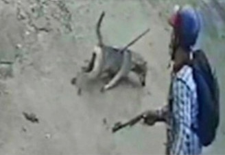 Chay xe vao san nha dan ban trom cho giua ban ngay o TP.HCM hinh anh