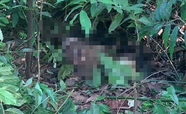 Xac dinh duoc thi the nam gioi quan chan o Hai Phong hinh anh