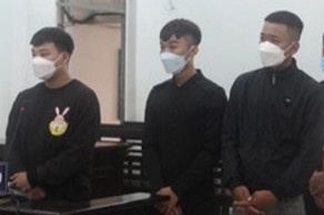 Hon chien vi bi cho la nhin deu trong nha ve sinh quan nhau hinh anh