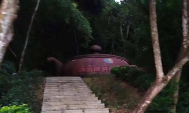 Nu sinh vien bi sat hai anh 2