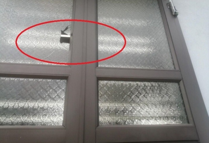 Con do no sung lam mot nguoi trong thuong hinh anh