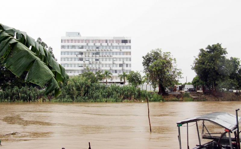 mua bán người ảnh 2 mua ban nguoi anh 2