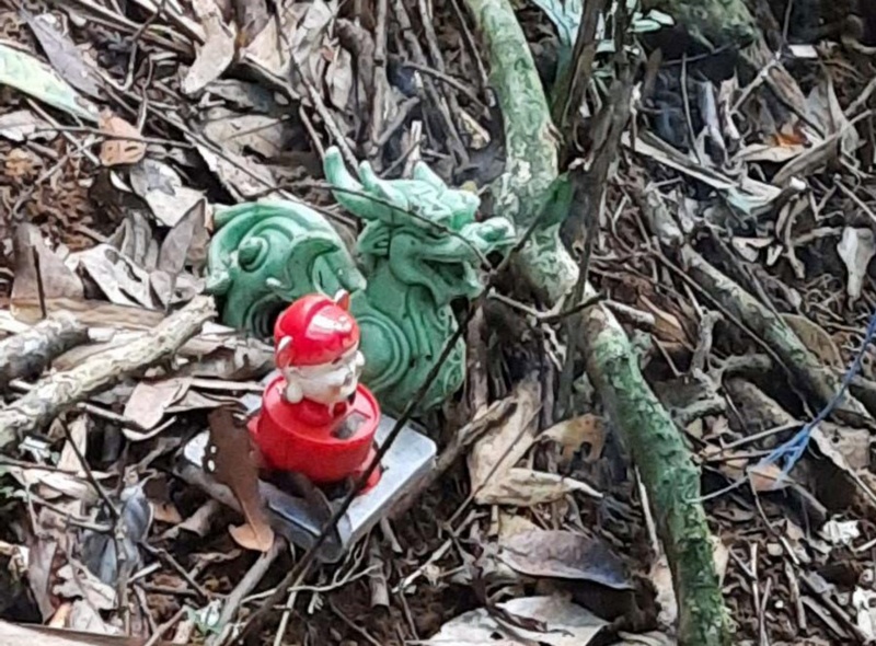 2 bo xuong giua rung anh 2