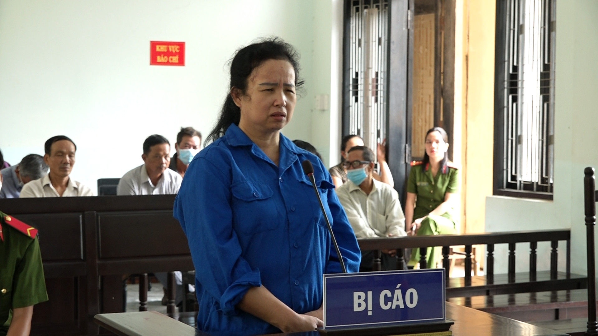 20 cây vàng ảnh 1 20 cay vang anh 1