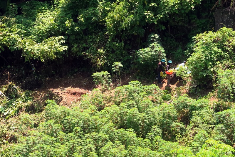 Bo xuong nguoi anh 2