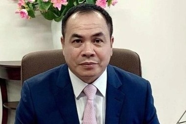 Bat tam giam nguyen can bo Tong lanh su quan Viet Nam tai Osaka hinh anh