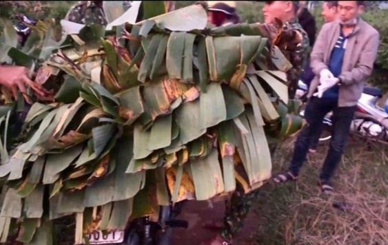 Nguy trang la chuoi de cho phao lau qua bien gioi hinh anh