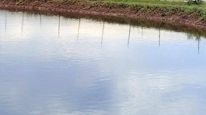 Vo chet, chong va con vuong lao ly trong vu ho hang danh nhau hinh anh