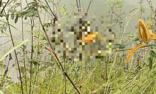 Dieu tra vu thi the nu gioi noi tren mat ho Ham Thuan hinh anh