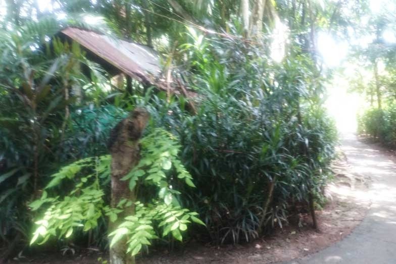 Dam chu quan ca phe vi nghi bi nhin deu hinh anh