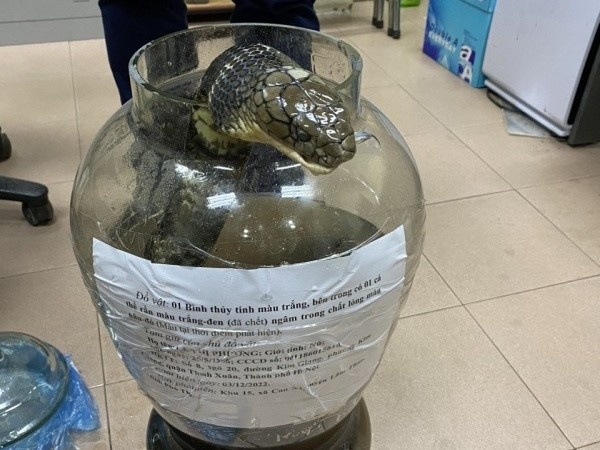 Khoi to nguoi giet ran ho chua nang gan 10 kg hinh anh