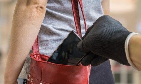 Tam giu 3 nguoi moc tui khach du lich tai Festival hoa Da Lat hinh anh