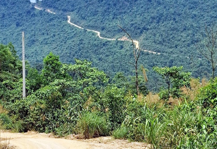 Bat giu tong giam doc Cong ty Toan Cau hinh anh