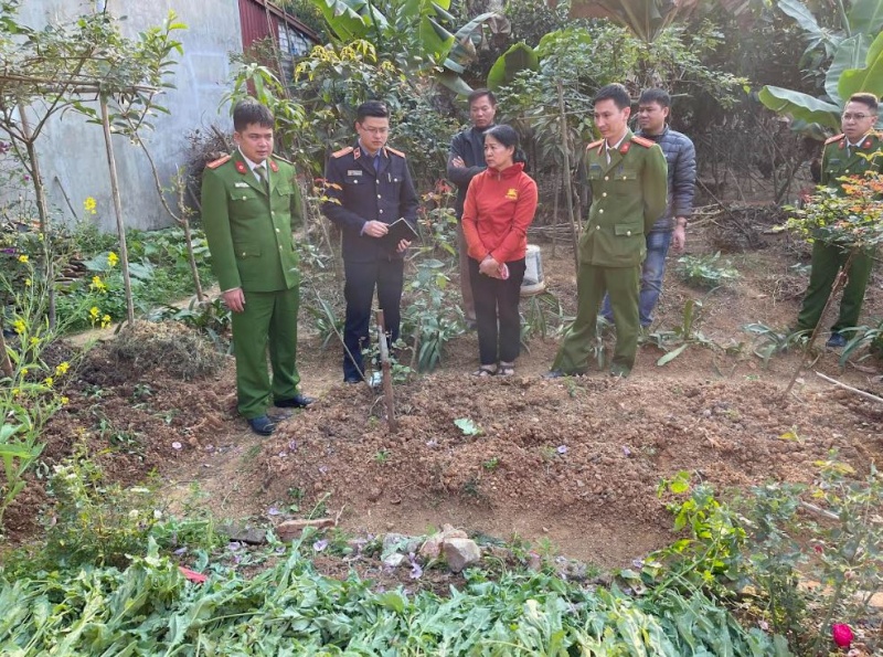 Trong gan 900 cay thuoc phien hinh anh