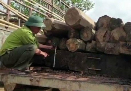 Lam tac doa giet kiem lam khi bi truy duoi cho go lau hinh anh