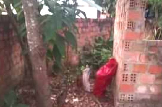 Phat hien be trai so sinh tu vong trong bao tai hinh anh