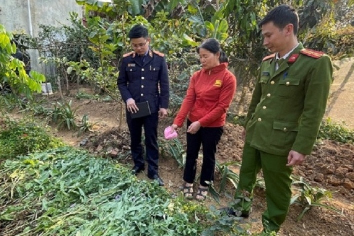 Thu giu hon 140 kg can sa trong vuon rau hinh anh