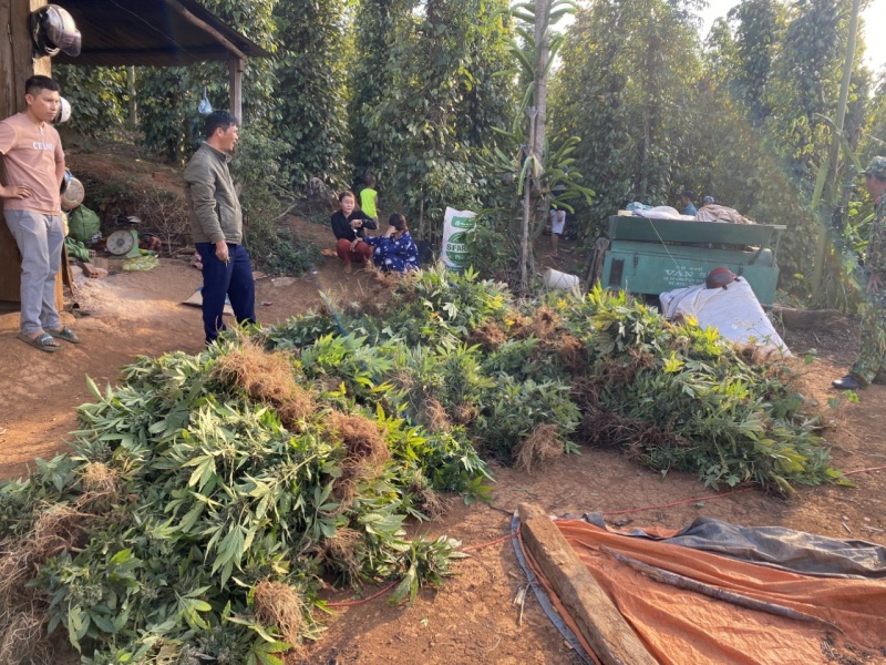 Hai vo chong trong hang nghin cay can sa tren ray hinh anh