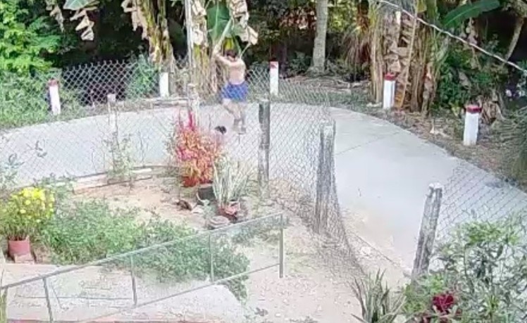 Nguoi phu nu bi hang xom danh tu vong hinh anh