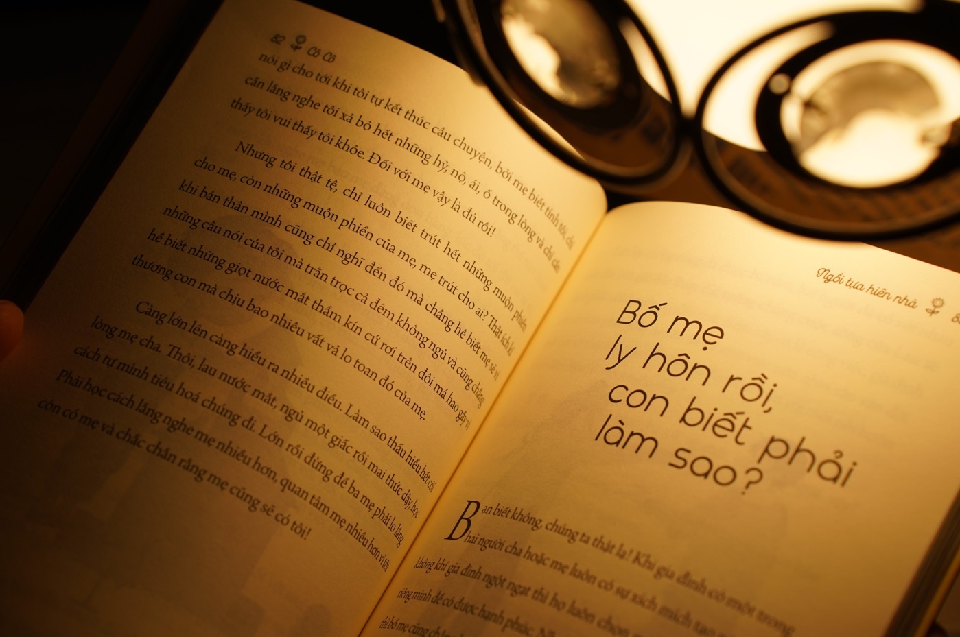 Ngoi tua hien nha anh 2