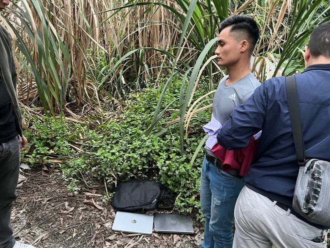 Meo den gay an anh 1