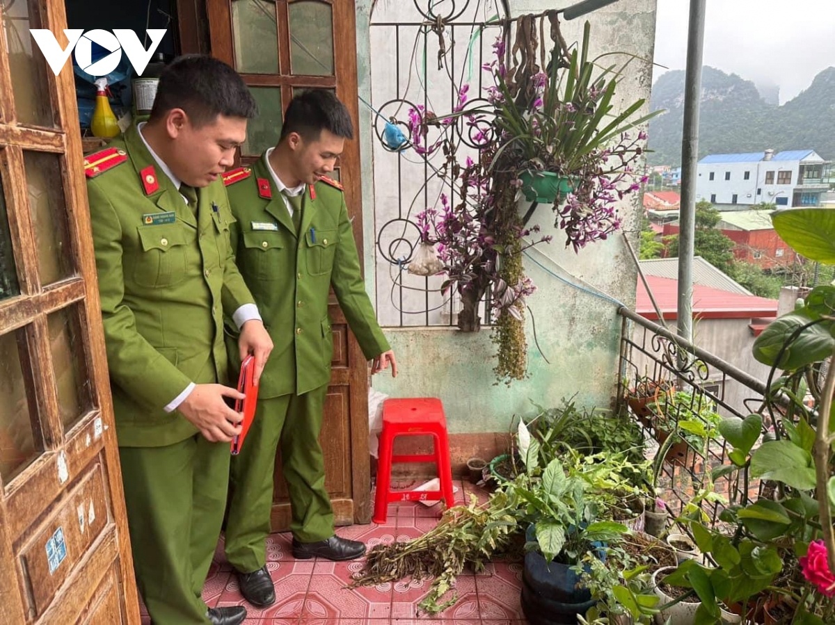 cay thuoc phien anh 1