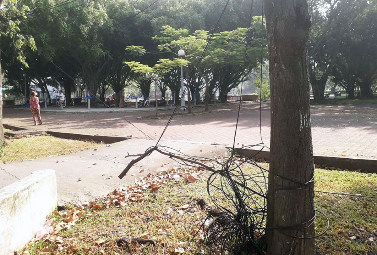 Nguoi dan ong bi cuop tai san khi ngoi trong cong vien hinh anh