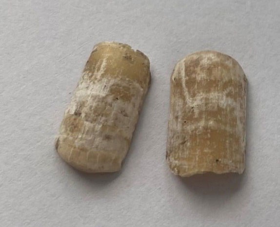 Thi the trong vali anh 2