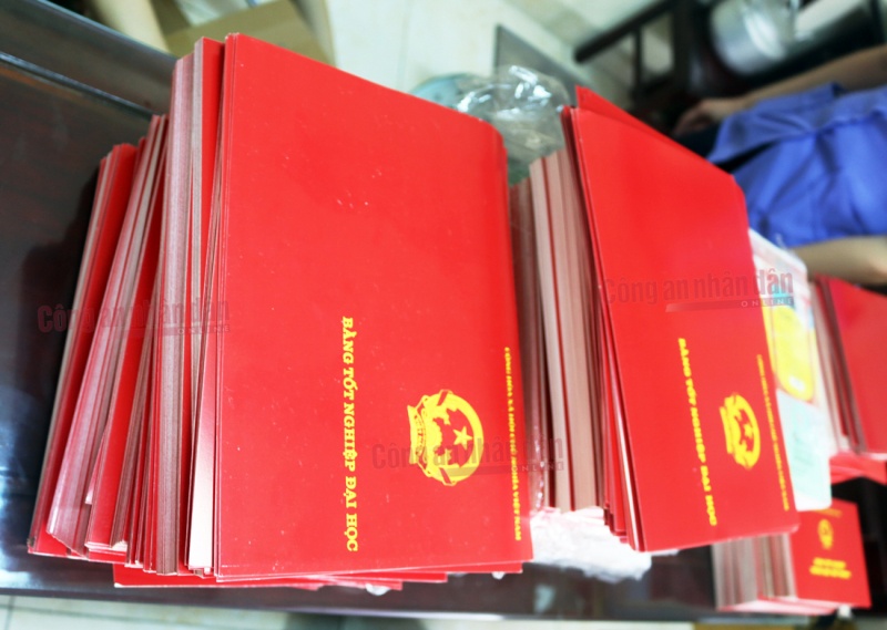 Duong day san xuat, tieu thu hon 60.000 con dau va tai lieu gia hinh anh