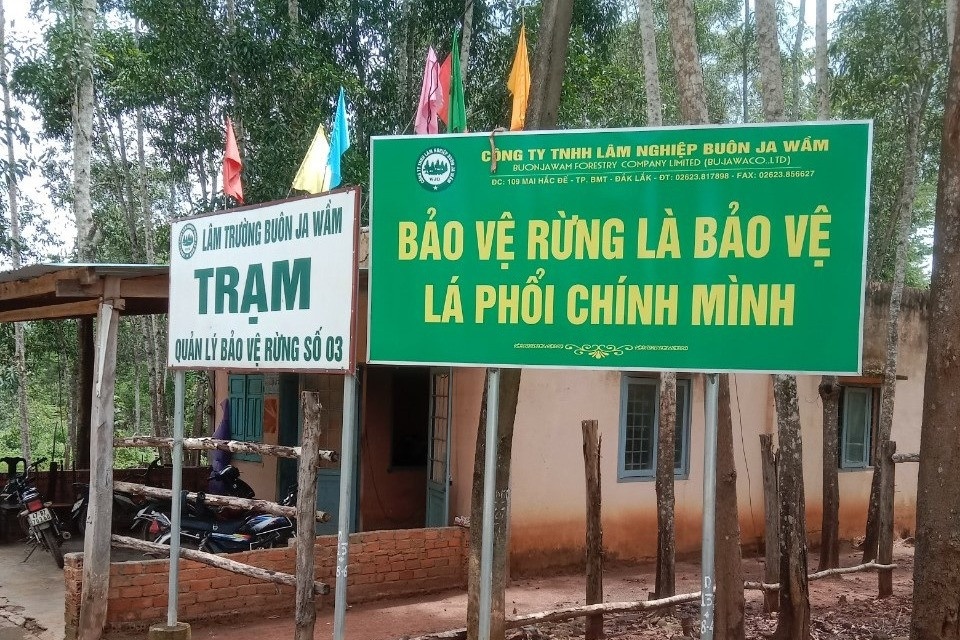 Nhan vien quan ly bao ve rung bi nhom nguoi la danh dap, bat quy goi hinh anh