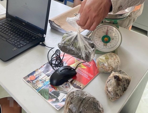 mua bán thuốc phiện ảnh 1 mua ban thuoc phien anh 1