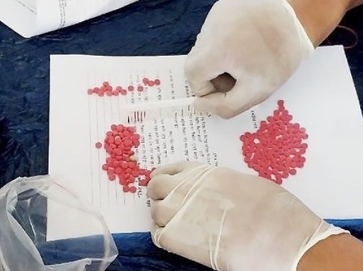 duong day ma tuy anh 2