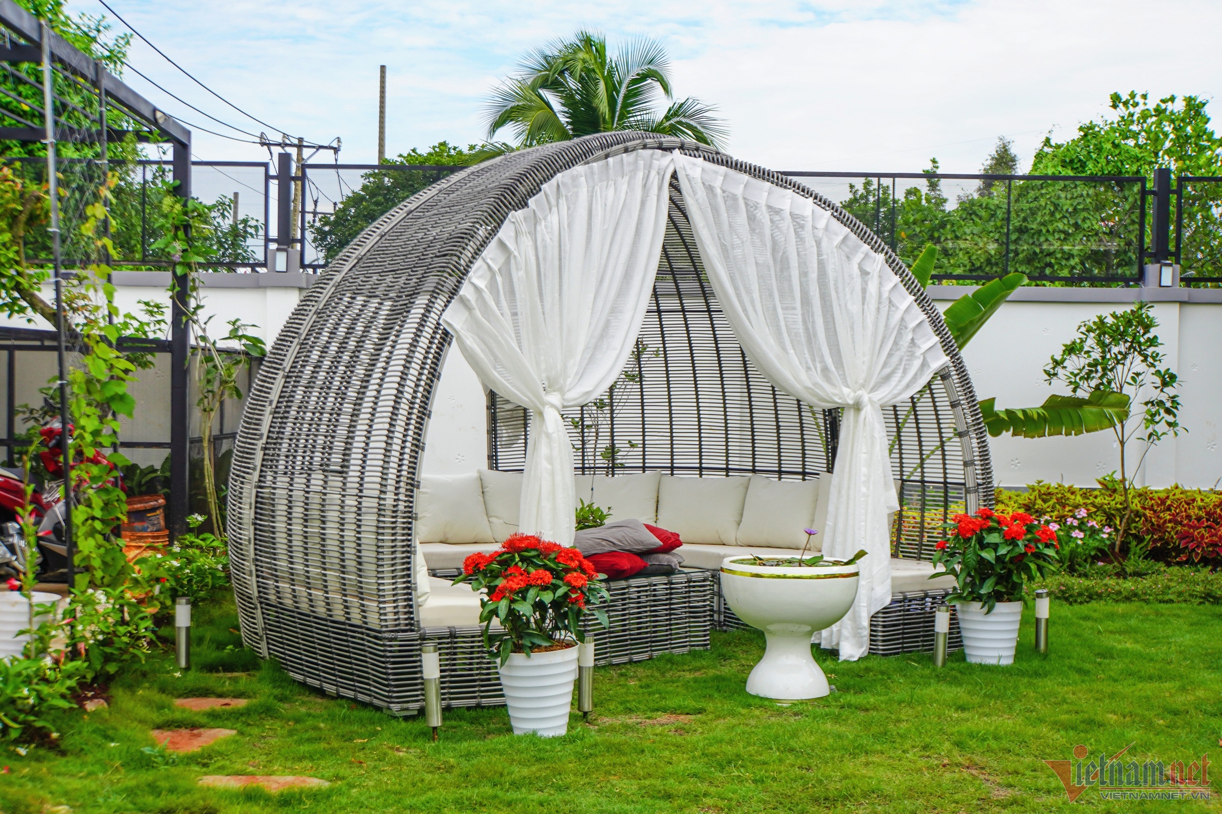 Quach Thanh Danh anh 6