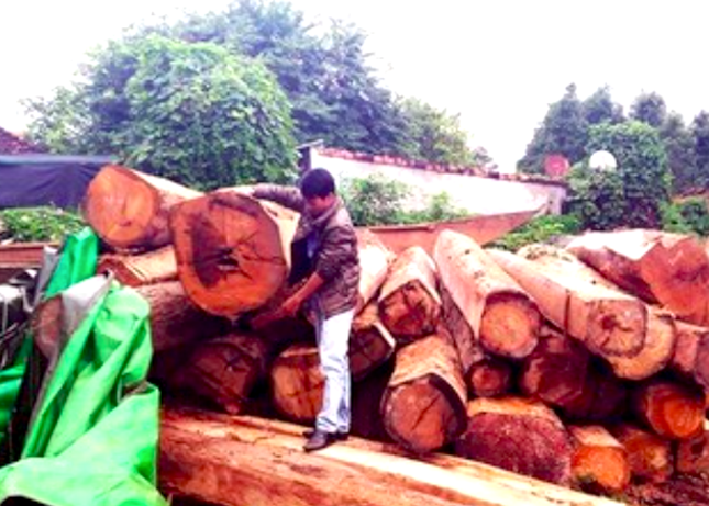 van chuyen go lau anh 2