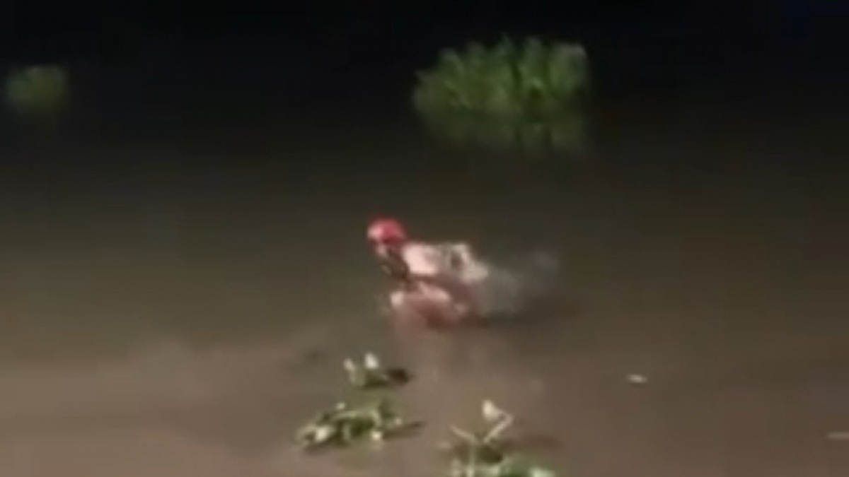 Nguoi dan Binh Duong lao xuong dong nuoc sau cuu hai me con hinh anh