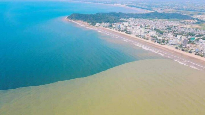 Nguyen nhan mat bien Sam Son chia doi voi hai mau nuoc hinh anh