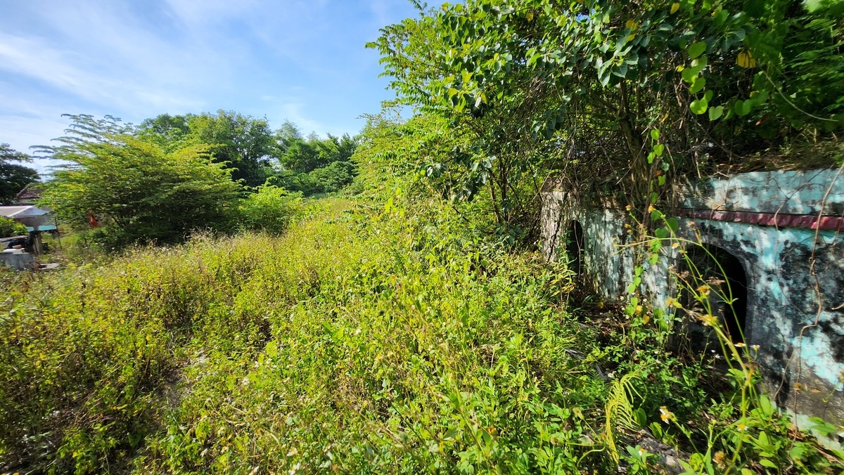 Thuong thanh Hue anh 12