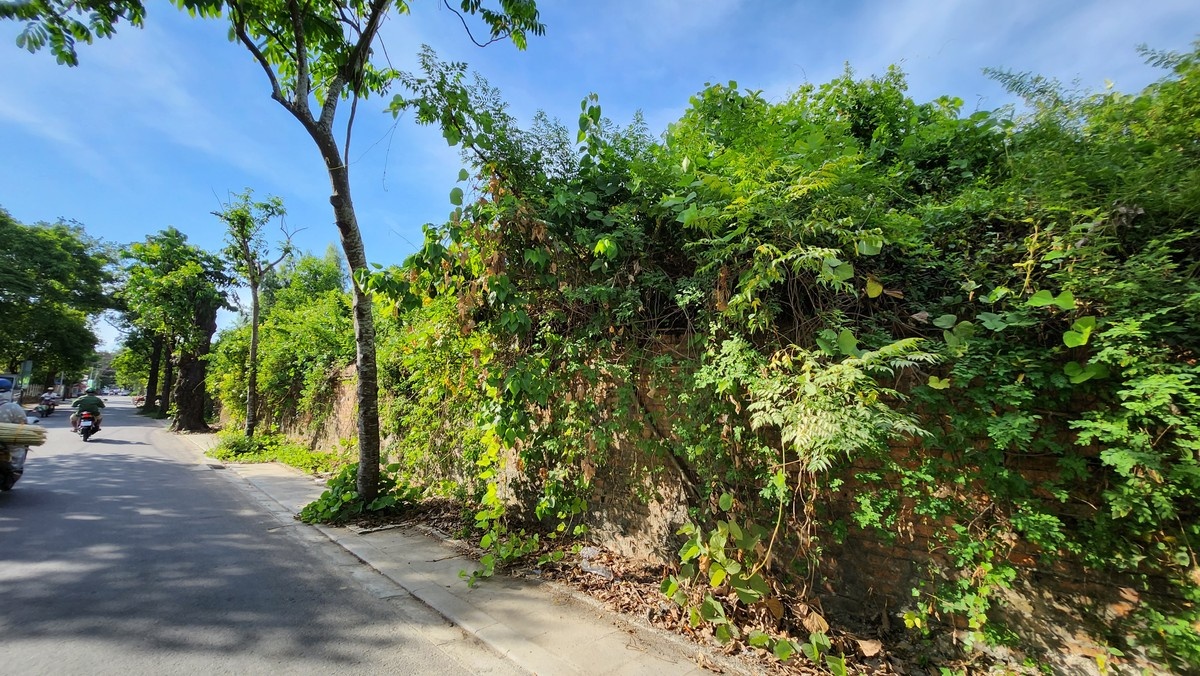 Thuong thanh Hue anh 13