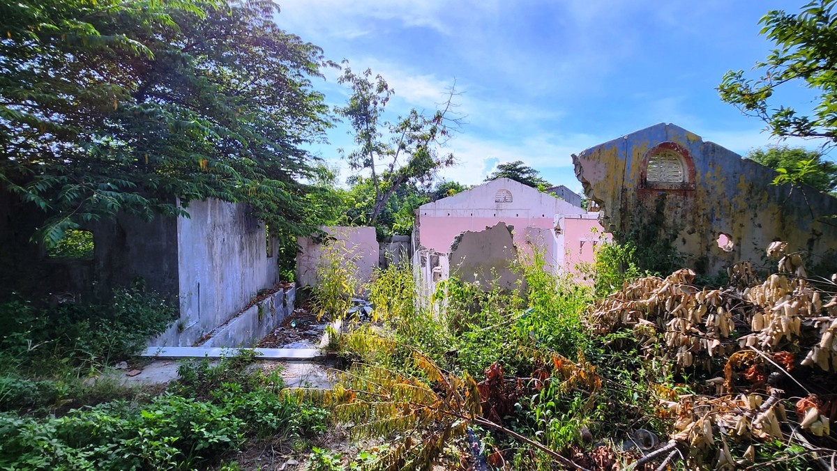 Thuong thanh Hue hoa rung hoang sau di dan lich su hinh anh