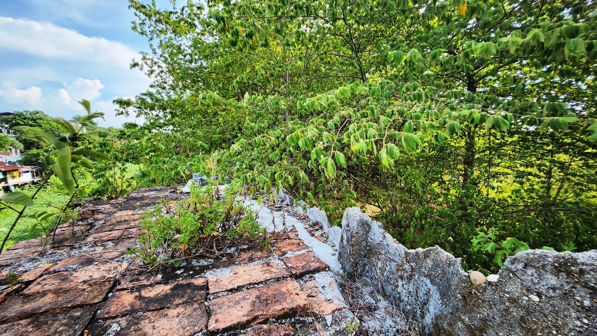 Thuong thanh Hue anh 5