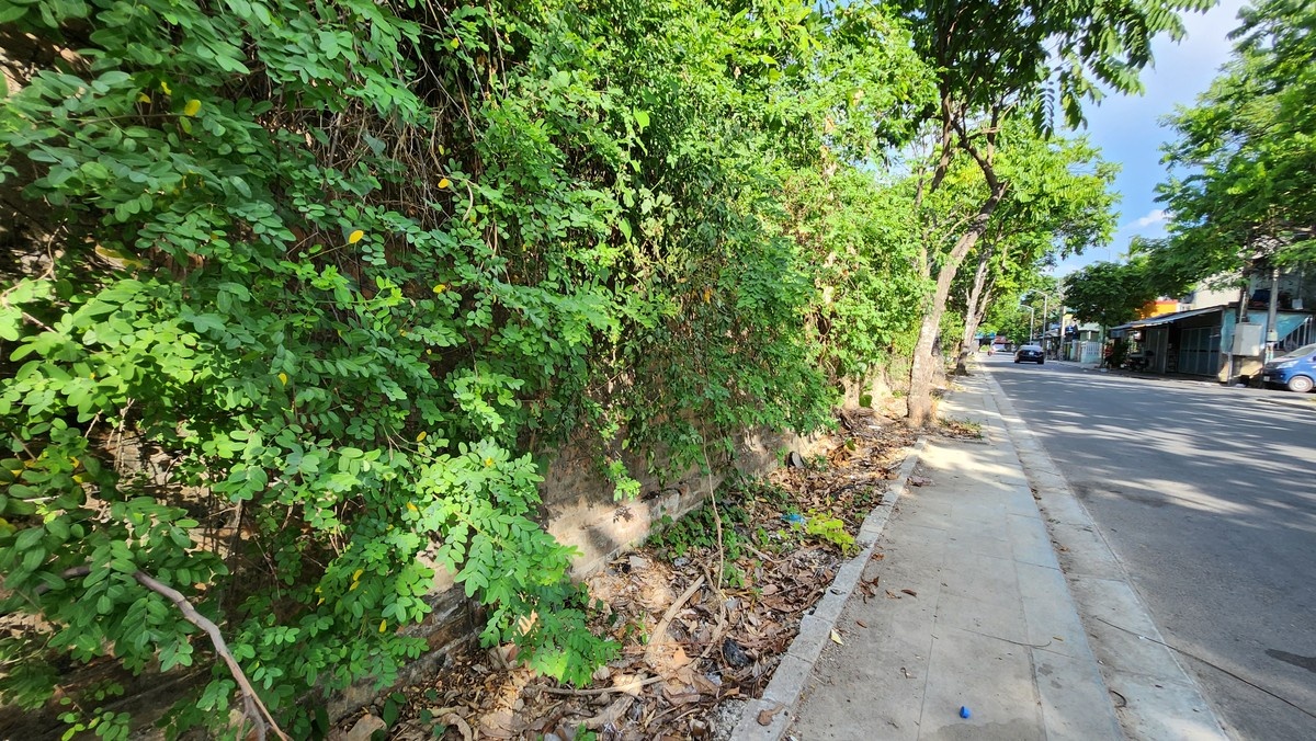 Thuong thanh Hue anh 6