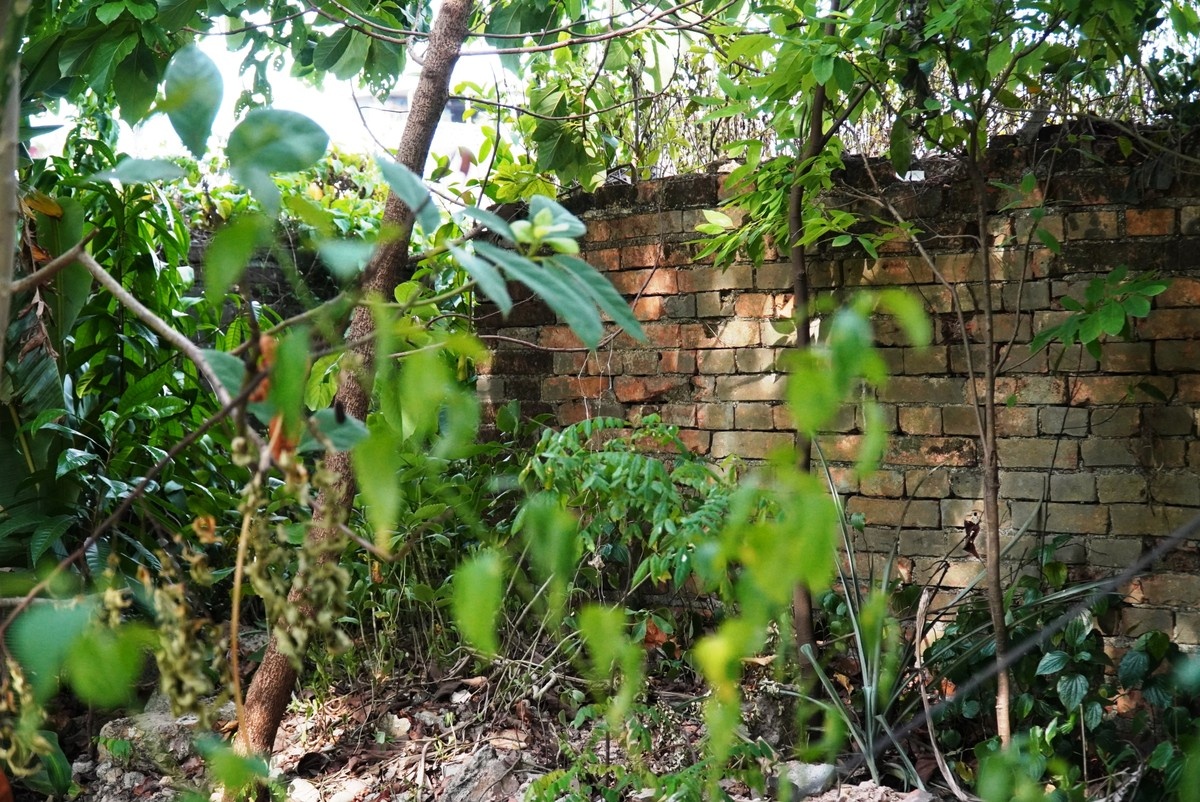 Thuong thanh Hue anh 7