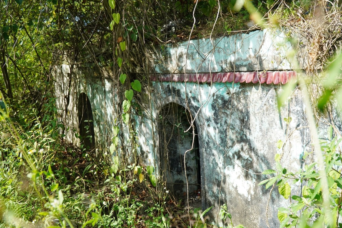 Thuong thanh Hue anh 9