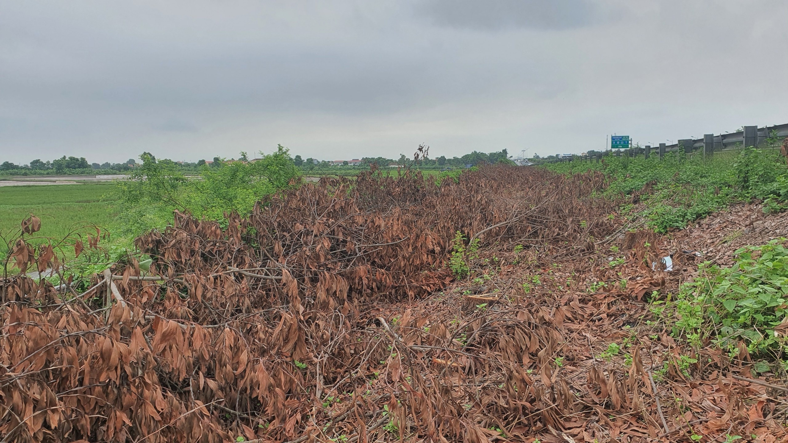 cao toc Phap Van anh 3