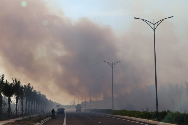 chay rung ven bien anh 1