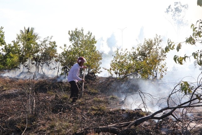 Chay lon tai rung ven bien o Quang Nam hinh anh