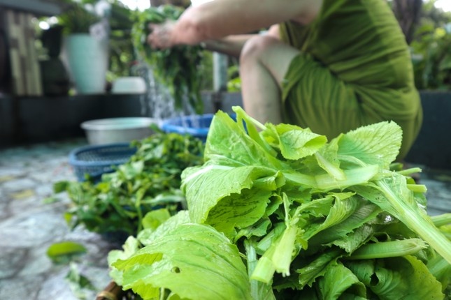 thieu nuoc sinh hoat anh 1